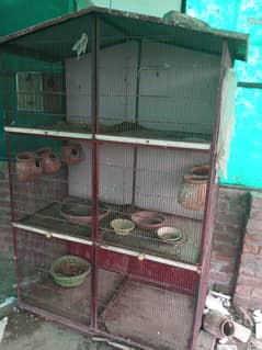 Birds 6 portion cage