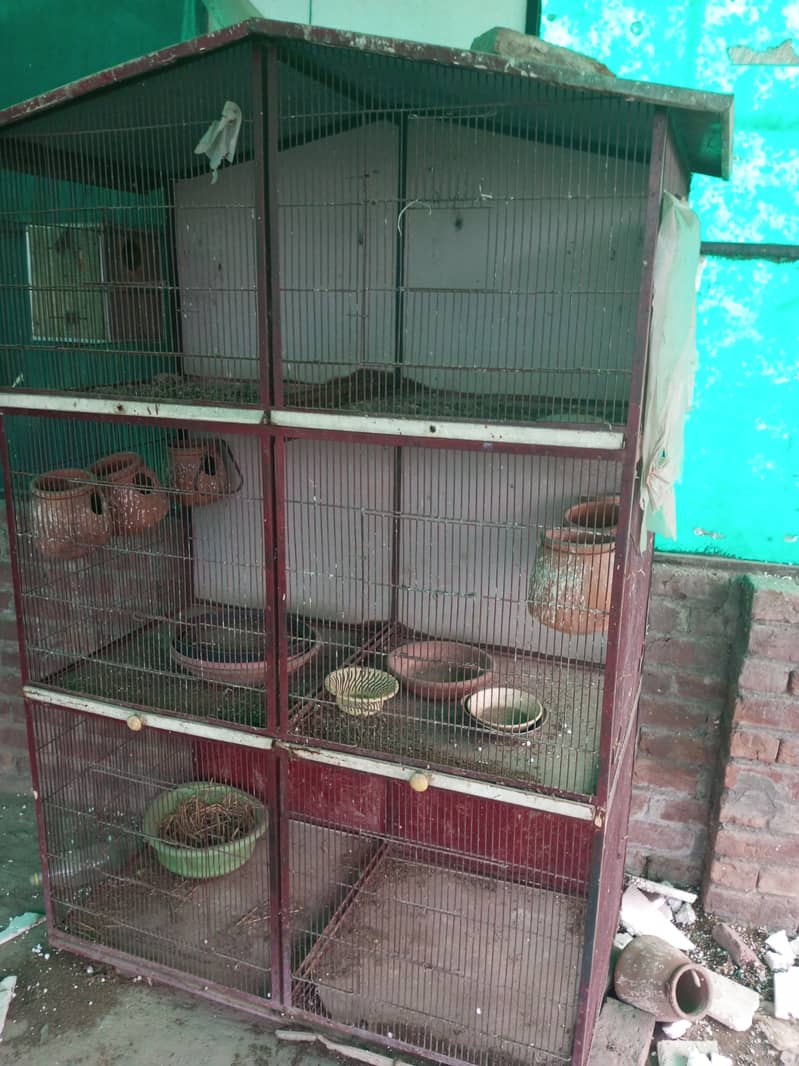 Birds 6 portion cage 1