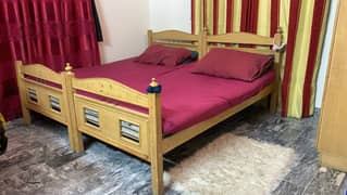 (urgent) 2 single bed with 2 master Molty foam mattress