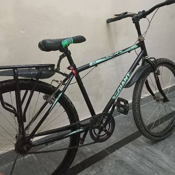 Giant Model Cycle For Sale 0