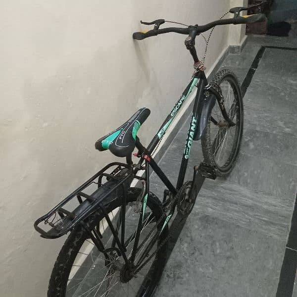 Giant Model Cycle For Sale 4