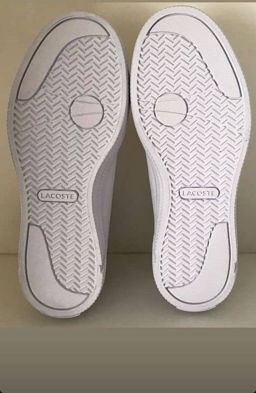 Lacoste shoes 4