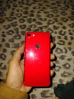 iphone 7 red edition pta approved