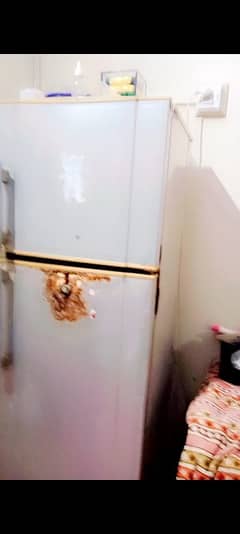 fridge