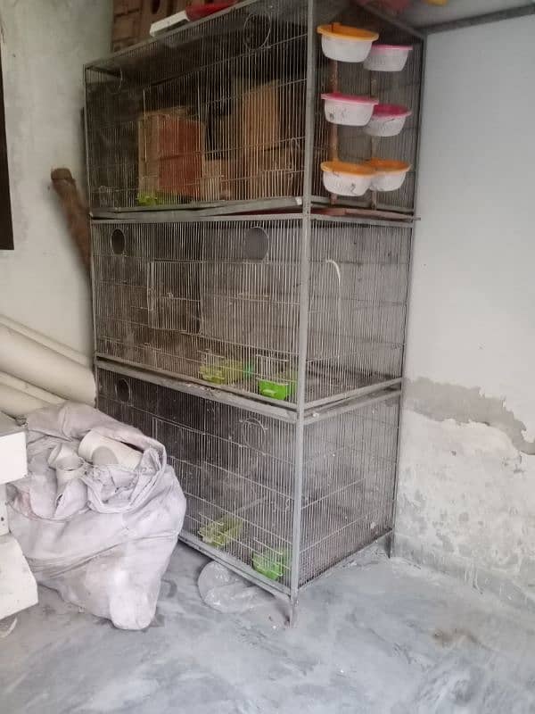 cage for sale 1