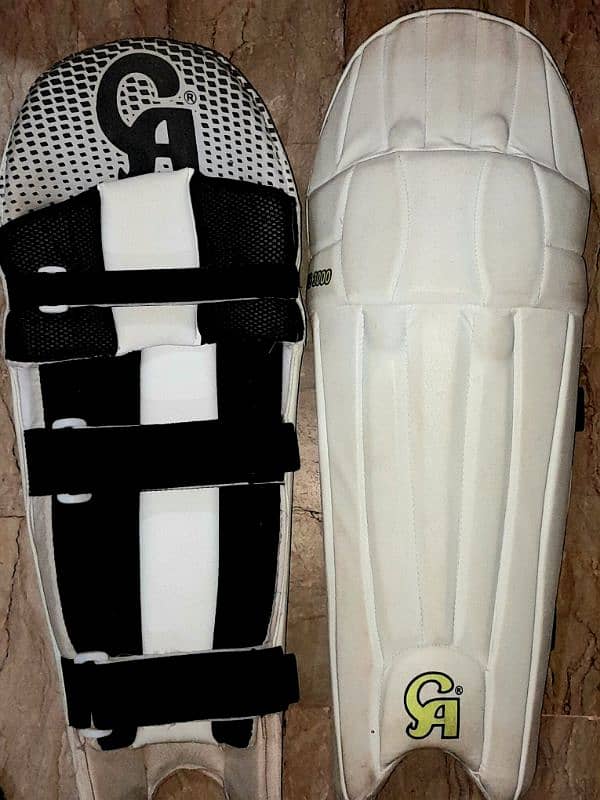 cricket kit 1