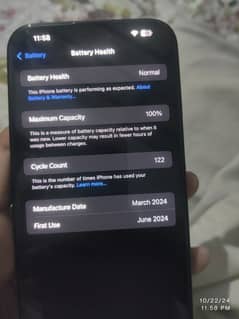 IPHONE 15 PRO MAX JV 100% Battery Health