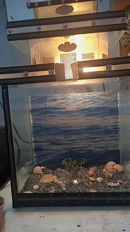 Fish aquarium for sale 1