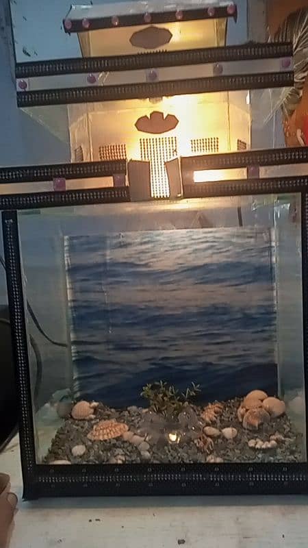 Fish aquarium for sale 3