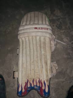 cricket pads with glubs