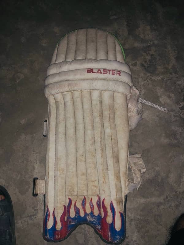 cricket pads with glubs 0