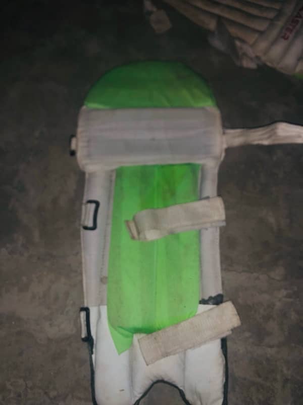 cricket pads with glubs 1