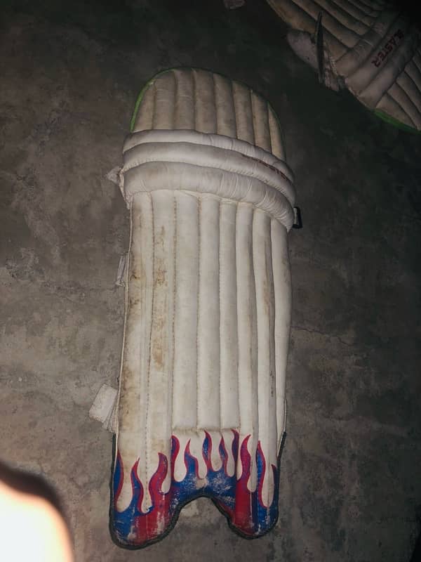 cricket pads with glubs 2