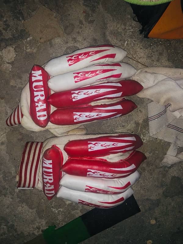 cricket pads with glubs 4