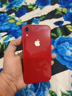 IPhone xr 64gb fu non pta sale exchange