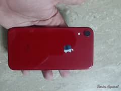 Iphone Xr non pta 9/10