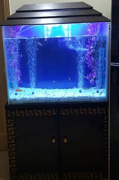 Big size fish aquarium with cabinet and accessories