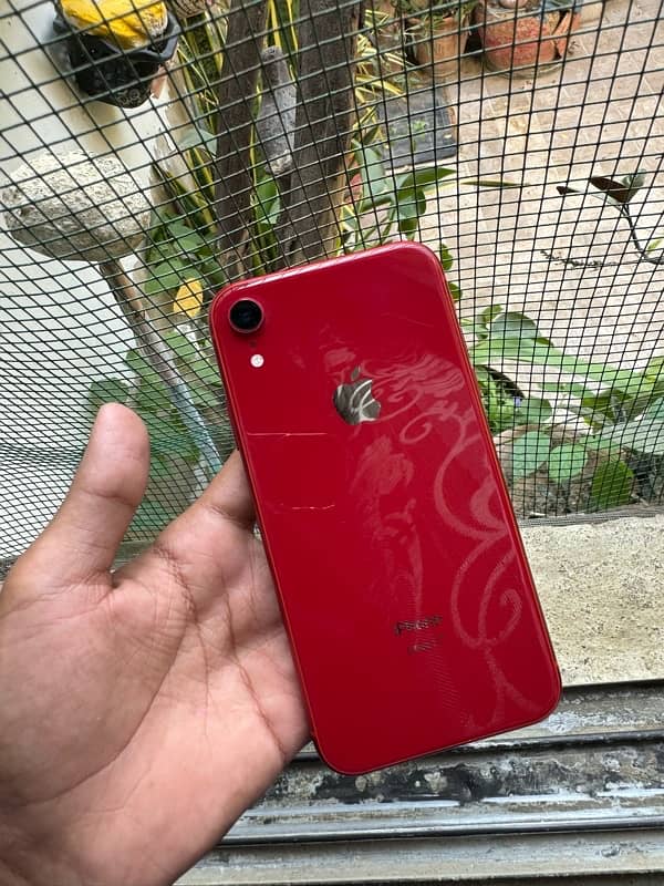 iphone Xr 1