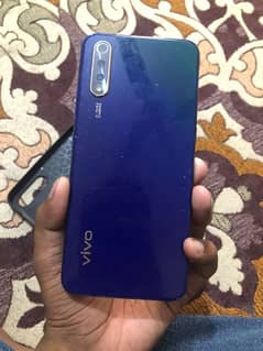 vivo