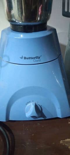 butterfly bulandr