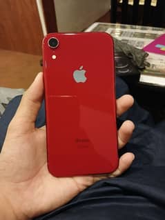 iphone xr seald 10by10