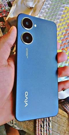 vivo