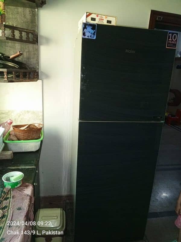 Hair Refrigerator Model HRF 336 2