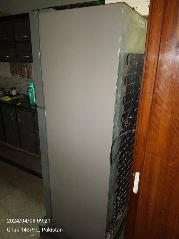 Hair Refrigerator Model HRF 336 5