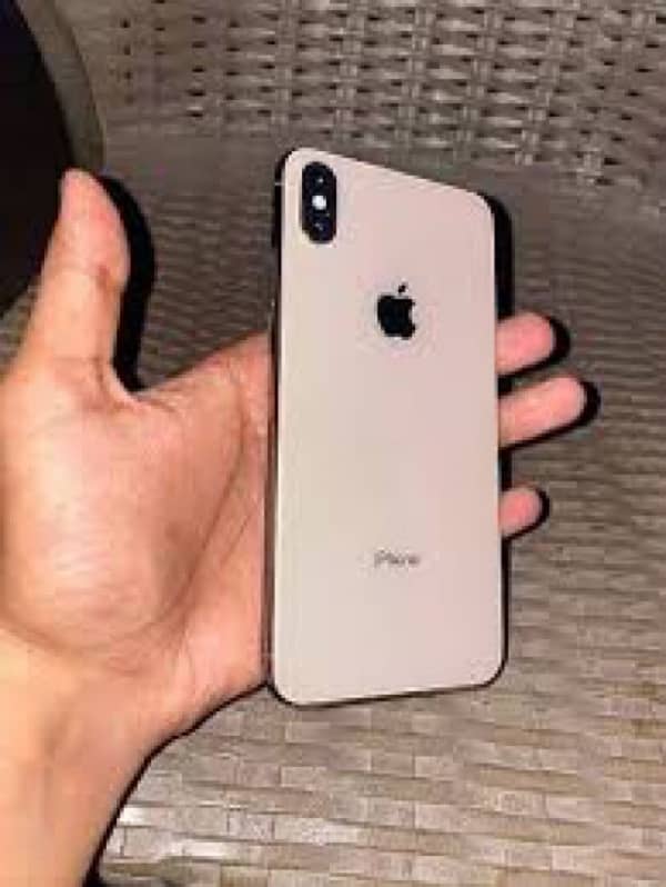 Xs Max 1