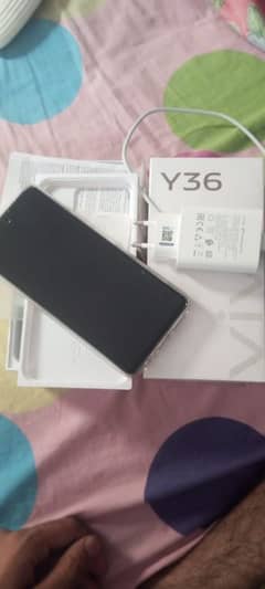 vivo y36