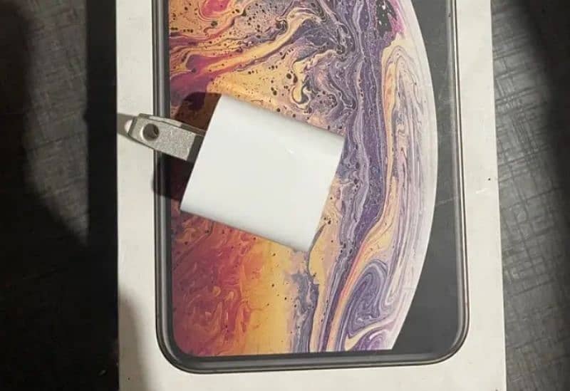 xs max ka original charger only adopter 10 by 10 condition 2