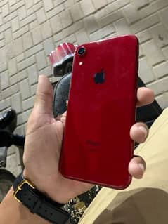 iPhone XR (256)