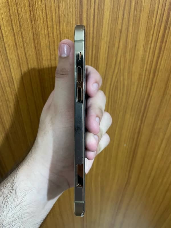 Iphone 12 Pro PTA PROVED 2