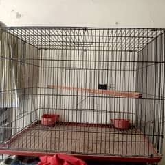 cage urgent sale serious buyer rabta kary