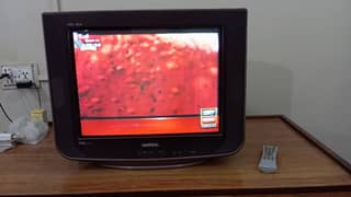 Nobel TV for Sell