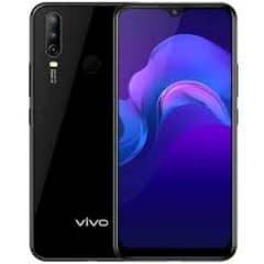 vivo