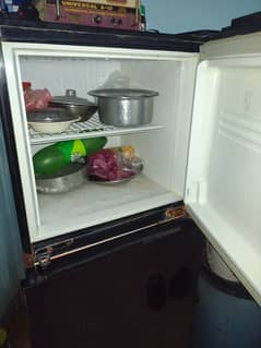 PEL Fridge