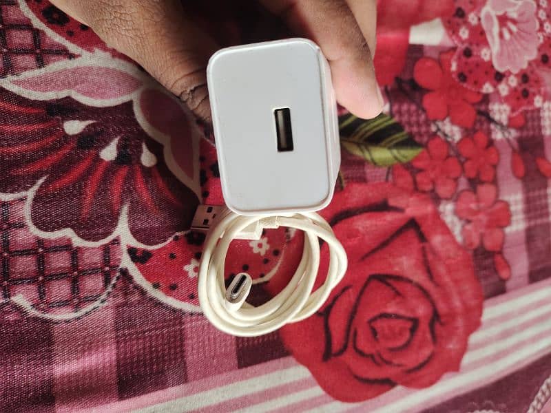 Oppo F19 Charger 2