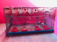 2 Portion cage for sale 0