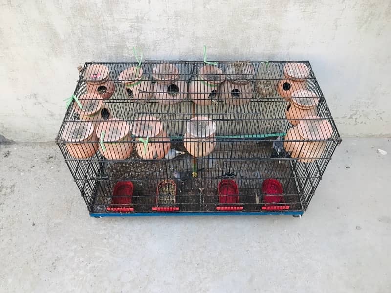 2 Portion cage for sale 2