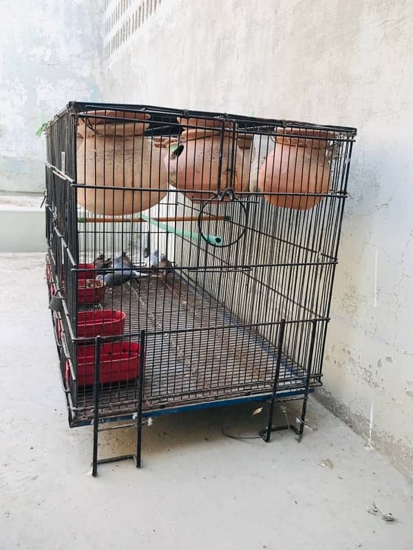 2 Portion cage for sale 6