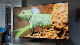 TCL 75 inch P755 Model Brand new 0