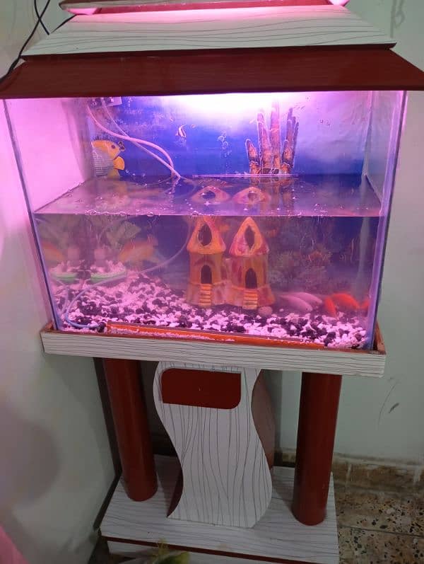 Aquarium with fish for sale size 2 ft 1