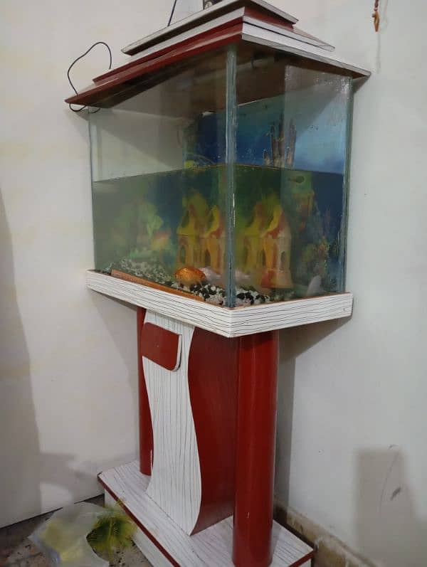 Aquarium with fish for sale size 2 ft 4