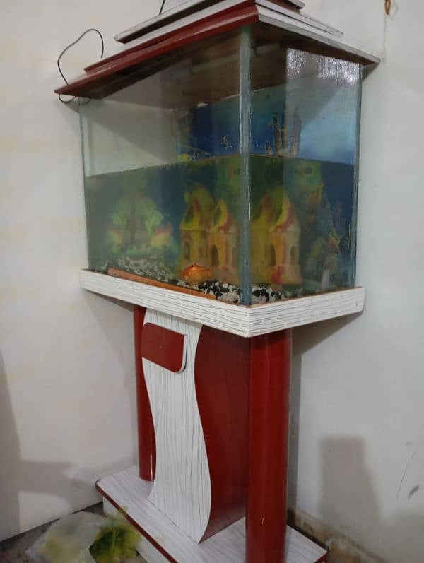 Aquarium with fish for sale size 2 ft 5