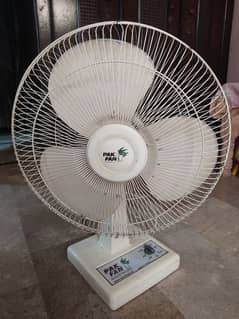 Table Fan (Pak Fan)