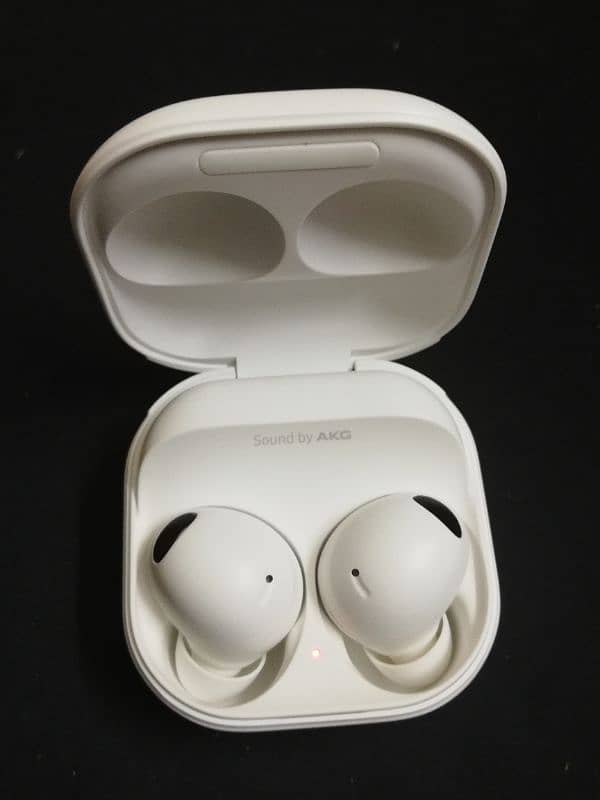 Earbuds 1