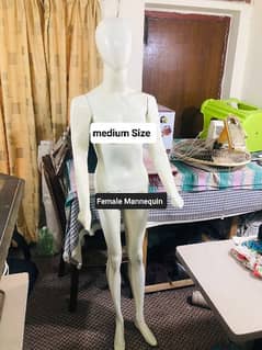 Female Mannequin- Medium Size