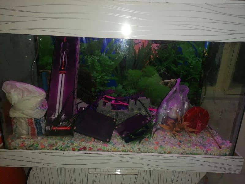 30 inches solid thick glass aquarium 1