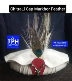 ChitraLi Cap Markhor Feather